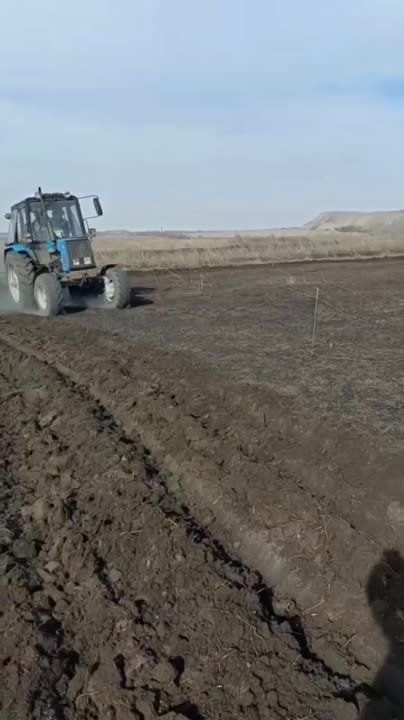 ������� ��������: ����������. �������� -������� ������ �������� ����-����