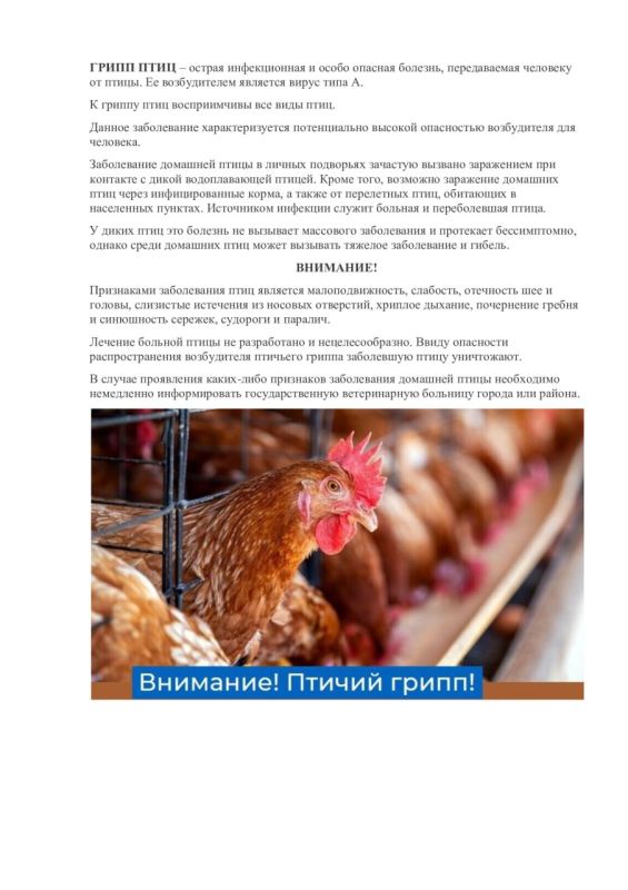 ������ ��������: �������� ������ �����