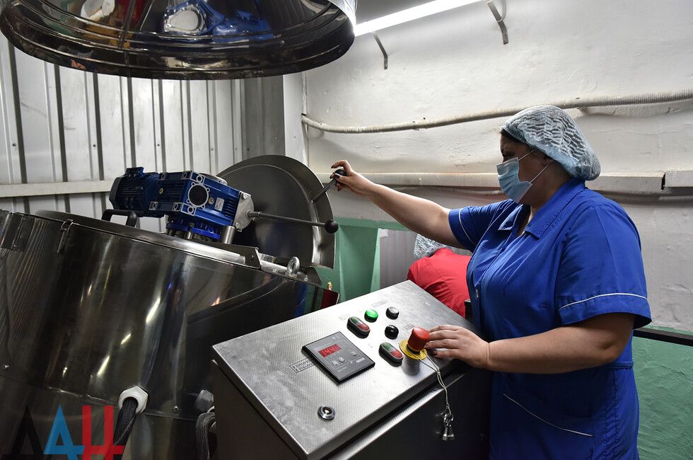 Резидентами СЭЗ планируют стать 194 юрлица из ДНР — Минэкономразвития