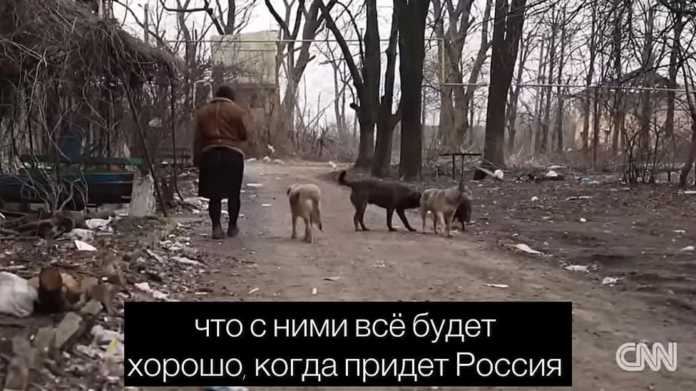 �������� ����������: CNN � ����� ��� ���������� � �������� ��������