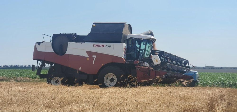 ������ �����������: � ����� �������� 94 ��������� ��� ����������� � �������� ����������� � �������� ����� 43 ���� ������