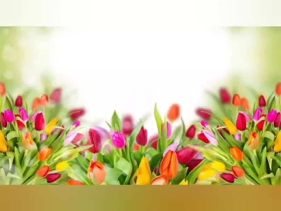 �������� � ���� ���!�