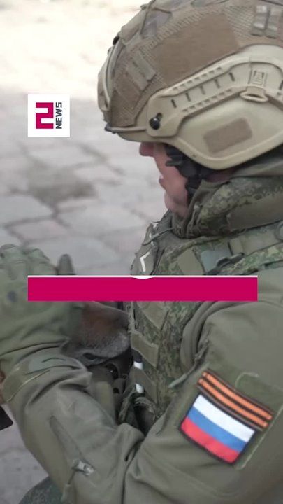 ��������� �����: ������ ������������ ����� �������� � ��������