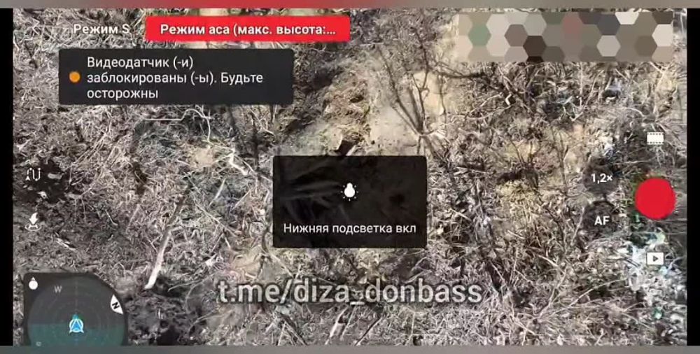 "�����������" �������� �������� � ���� ����� �� ����-�������� ������