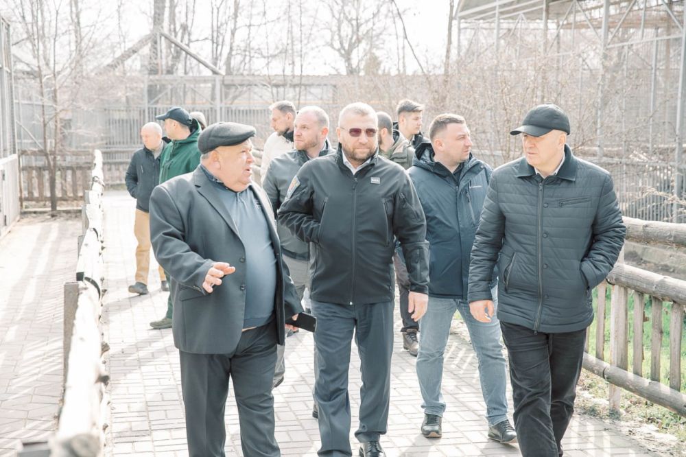 ���� ������: � ����-������������ �����-���������� �������� �������� ������� ��������� ������� � �������������� ��������