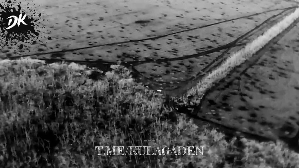 ����� ������: ����� ������������ �������� �� �������� ����� ��������� ������������ ���������� ���: ��������� ������� ������� ��� � ���������� �� ��������� �����������