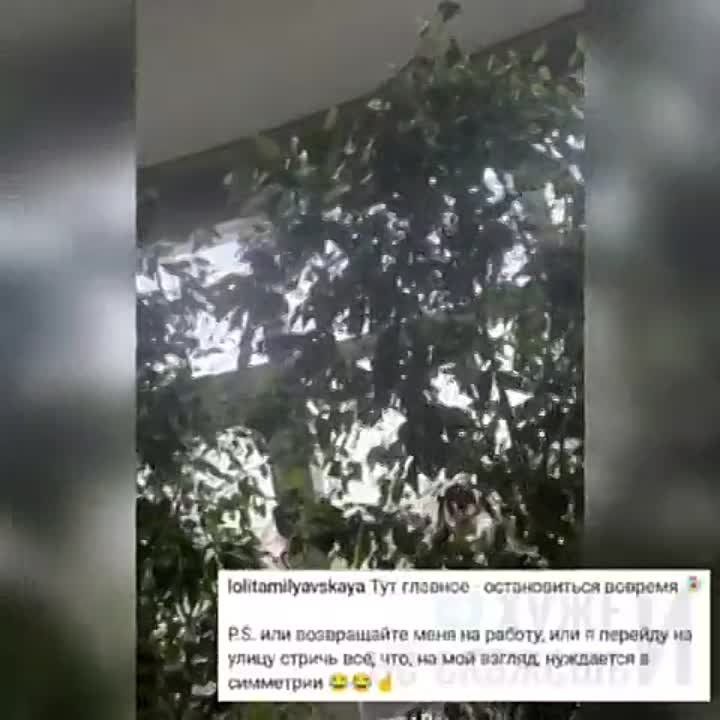 ���� ��������: ���, � ���� �������� "������" ���������� � �������������� ���� ���. ����� ��������� ��������� ��� �� ������� ���� ������������� ���-�� ������������