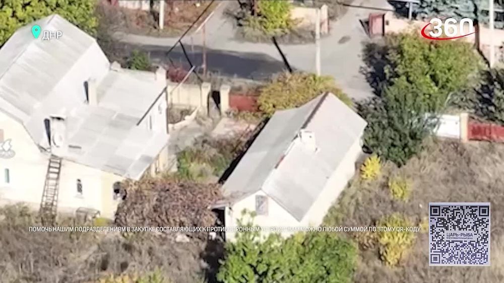 ������� ������������ ���� � ����� ������ ����������, ��� � � ������������ ��������� � �� ������� �������, ��� � ������ ������
