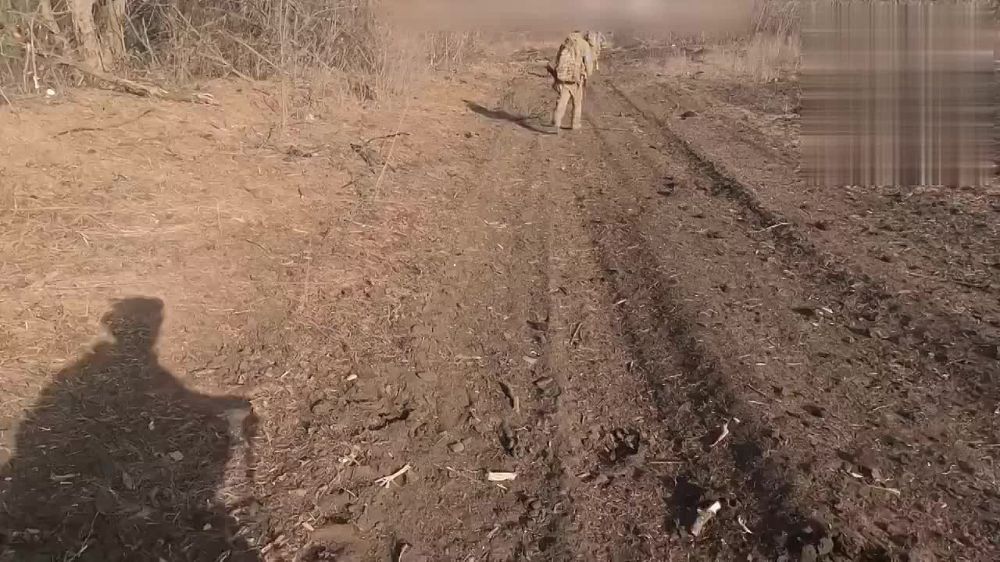 ������ �������: �������� ������ �� ������ �������� �� ������ ����������� ������ � ���� 3-� ��������� ������� � ������ �.�. ������� �� ���������� �����������