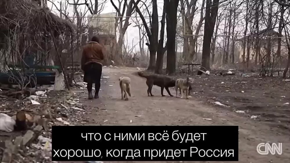 ��������� �������: � ��� � CNN ����� �������� � �������� ����������� � ����� ���