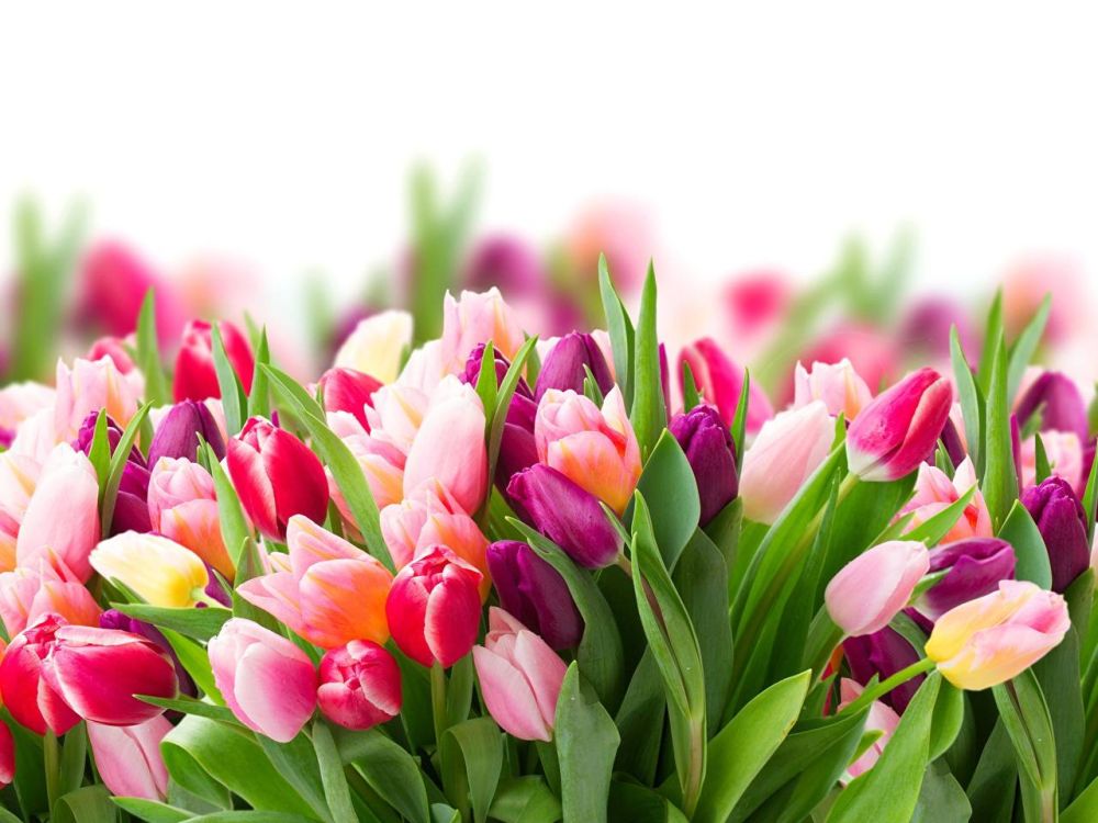 ����� ����������: ������� ���� �������!. � ���� ���������� �������� ���� �� ���� ���� ���������� ��� � ������������� ������� ����! �� ���������� ��� ��� �������, ������ ��� ���� ������ � �������, ������� ���, ����� � ����� ����� ������ ����� ��� � �����