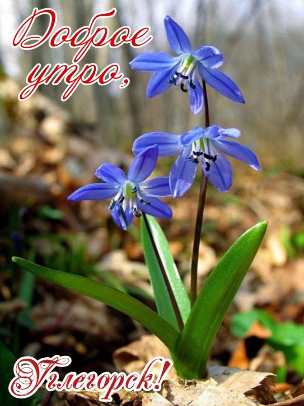 ������ ��������� ����. ������� �������� � ����������� ����������!