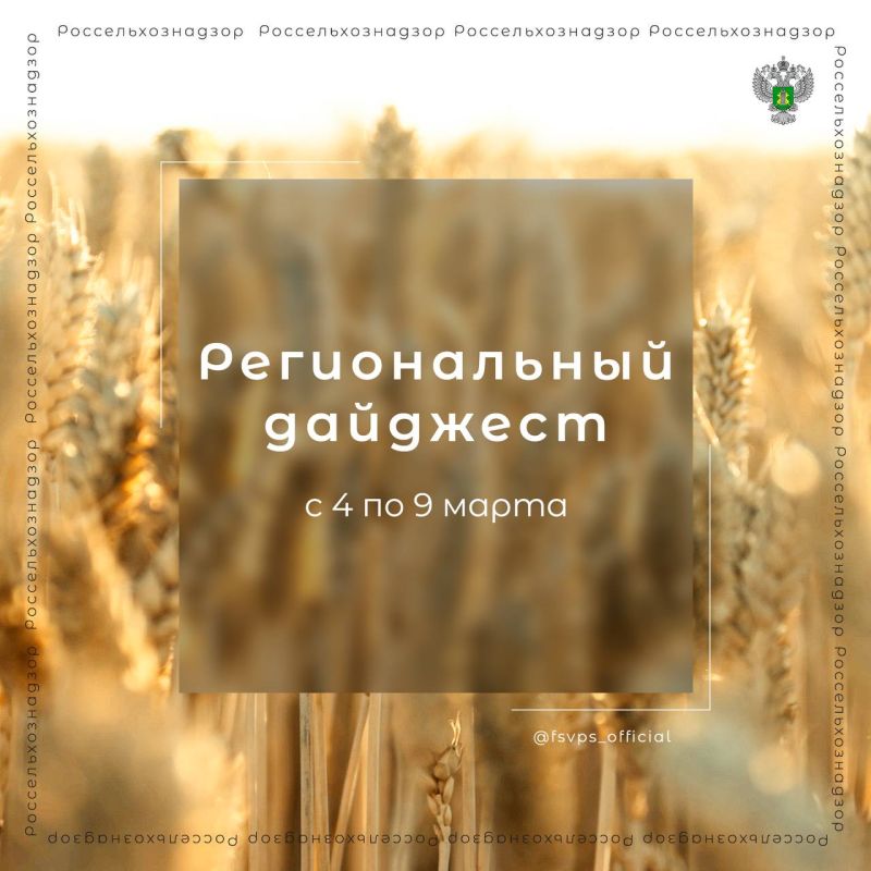 � ������ ���� ��� ��������� ����������������� � ������ ���������� ����� 160 ��� ������� ���