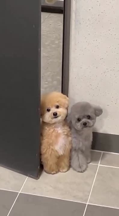 � ������ �����, ���������!