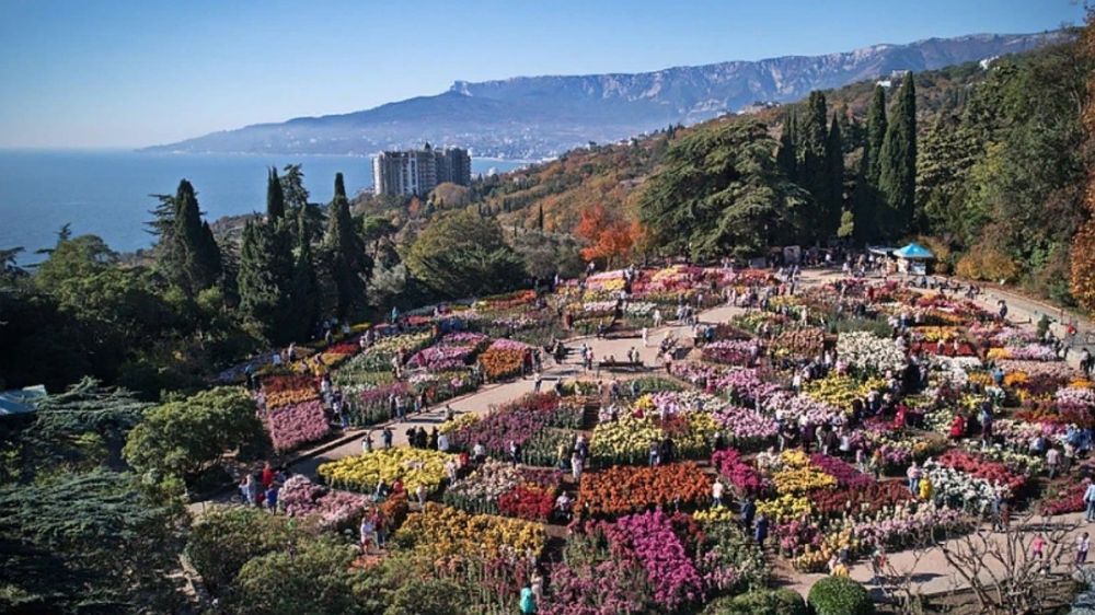 �������� �������: � ������� ������� ���� �������� �� ������ ��������