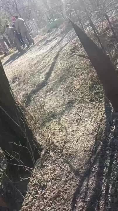 �����, ��� ���������� �������� �������� �������� ����� � ��������