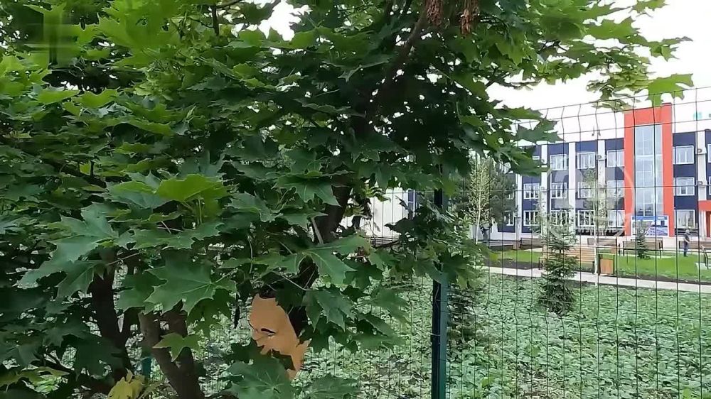 ������ ��������� ������������ ��������� � �� ����������� � ������ ������