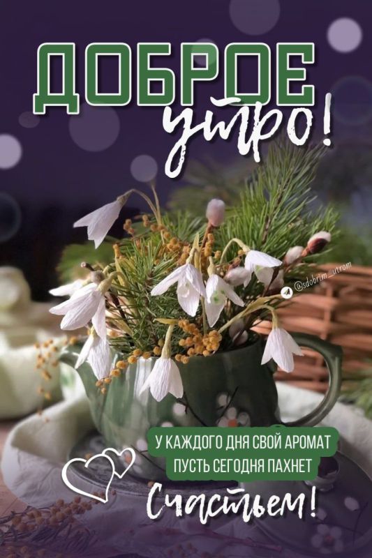 12.03.2024 � 09:00-16:00 �� �� 04 �� ��� 330, ��. �����������, ����� 3 � ����� � �������� �������� � ���������� ������� ����� ����������: