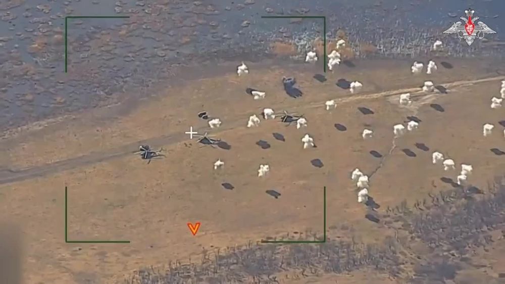 ������� �����: ����������� ���������� ���������� �� �������������� ����� ���. ������� ���� ��������� �����������, ����� ������������