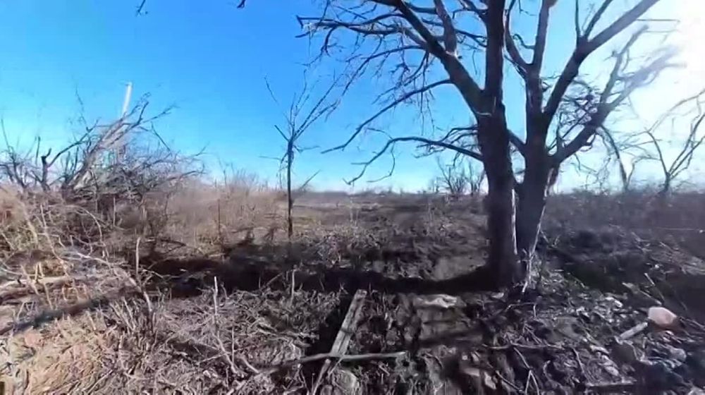 ������ �������: � �����. ���� ������, ������ ��� ����������� �����. ����� ������� ������� ������� ������� ������� �� ������ ��� ������������ 114 �������