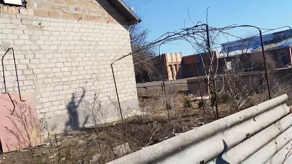 ������ �����������, ������������� ������ ��������� � ���������������� �������� � �������� � ������ �� ���� ��� �����������...