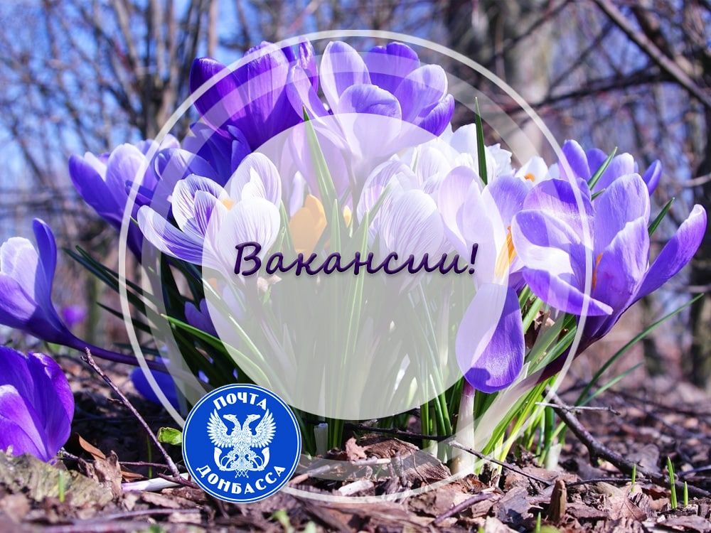 ���������� �� ������ � �������:
