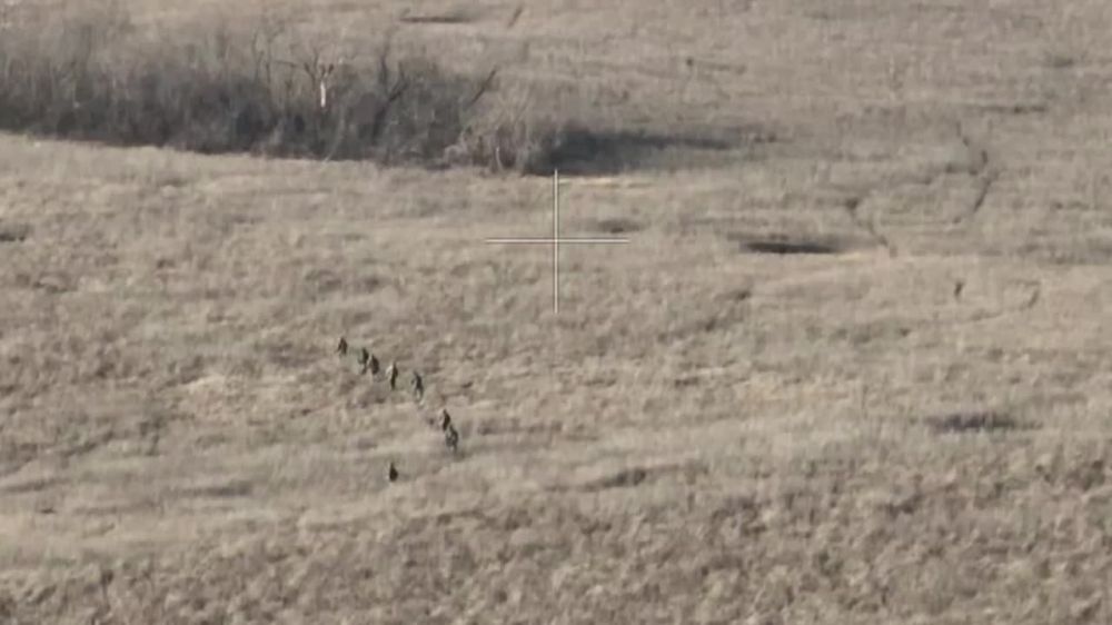 ������ ����� �������� �� �������� ��� ��� �������� �� �������� RT ������ ��������