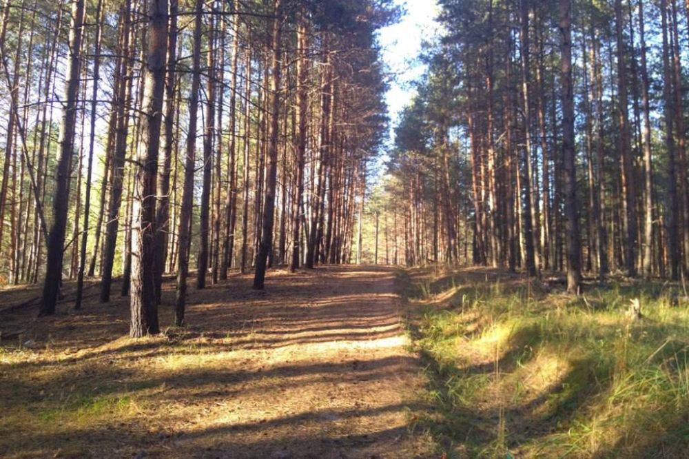 ������� �������: ������ � �������� ����� ��� �������������