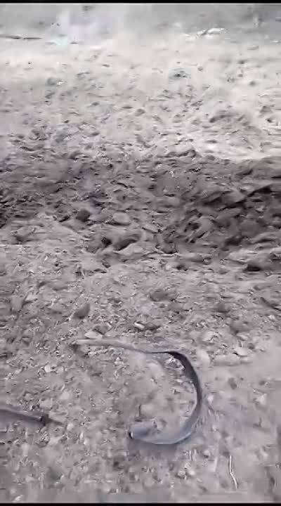 ������ �������: ������������ � ������������ ������ �������� �������� ���������� ��� FV103 Spartan � �������� ��� 131 ���������� ������������