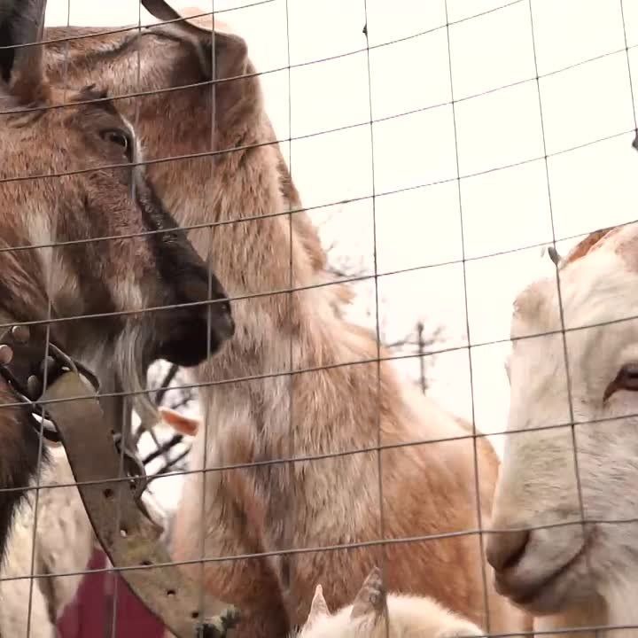 ����������� � ������� ����� �������� ���� ������������� ������� �� �������