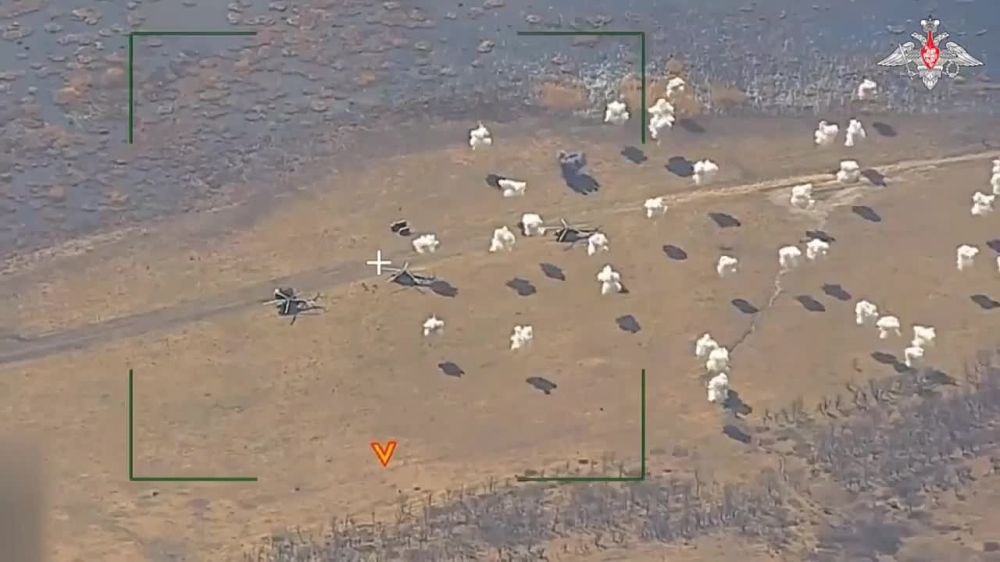 �������� ����������: ������������� ����� , ��� ��� ��������