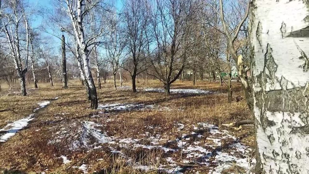 ����� ������� ������������