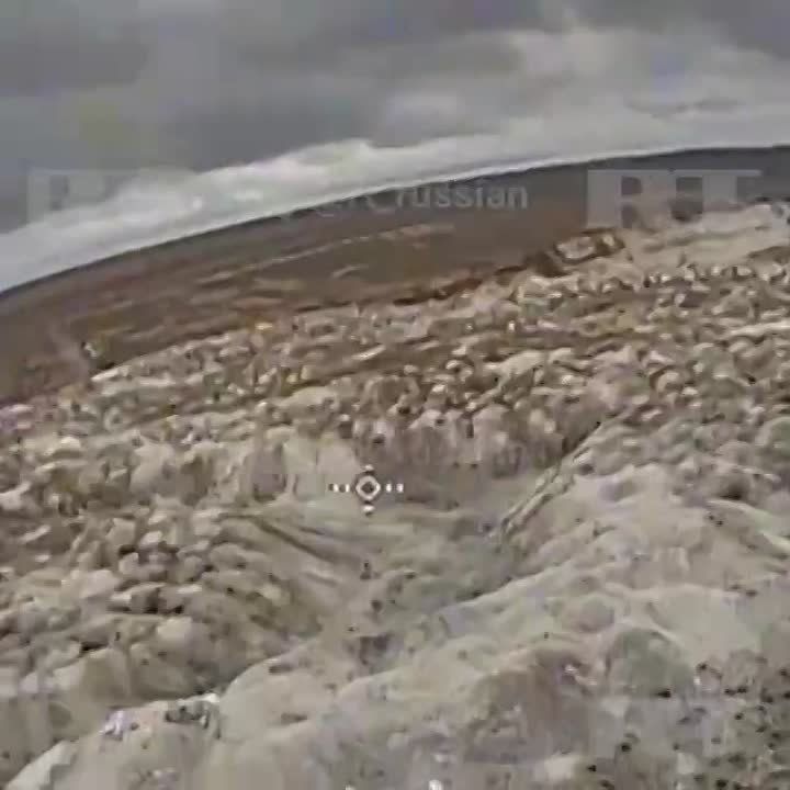 Эксклюзив с Северского направления (ДНР)