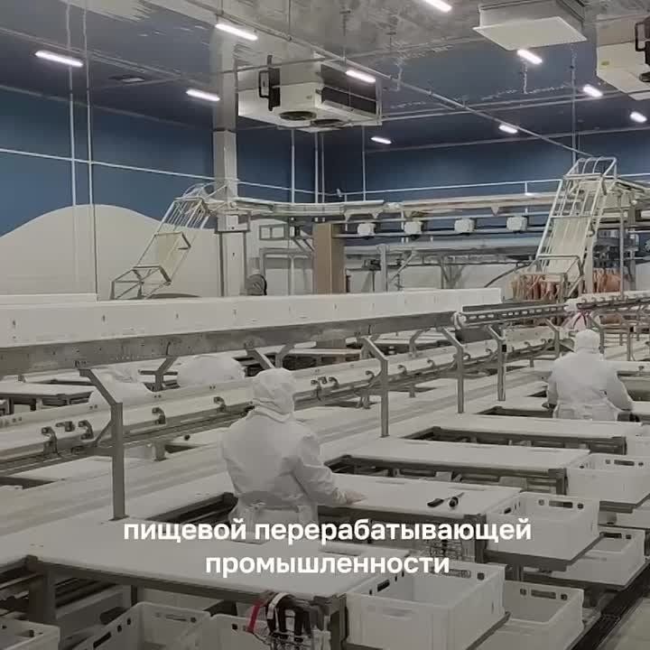 ������� �������: �������� ����� �������� ������