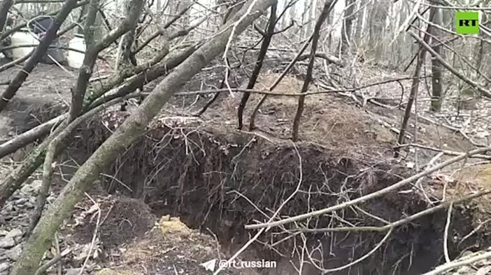 ������������ 305-� ������� ����������� ������� ������ ����������� � ������, ����������� �� ��� �� ��� ��������-ѻ