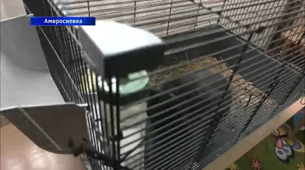 �� ��������� ������� �������� ������ �������� �� ���������� ������ ��������! ������� ���������� ������� ����� ������� � �����������