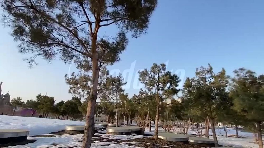 «Где мы только не были» — как завершились каникулы Димы и его семьи, спасенных из Авдеевки