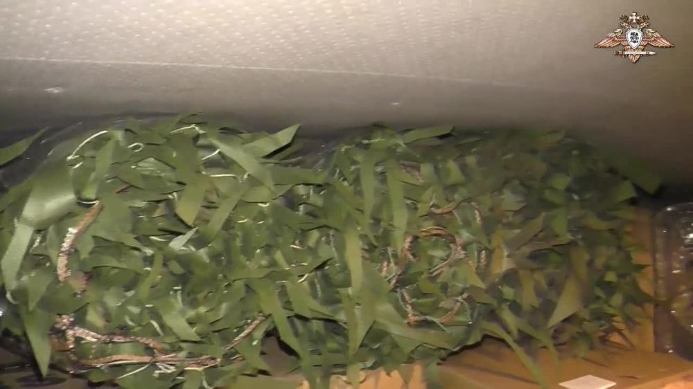 � ��� ������ ��������� ������������ ������
