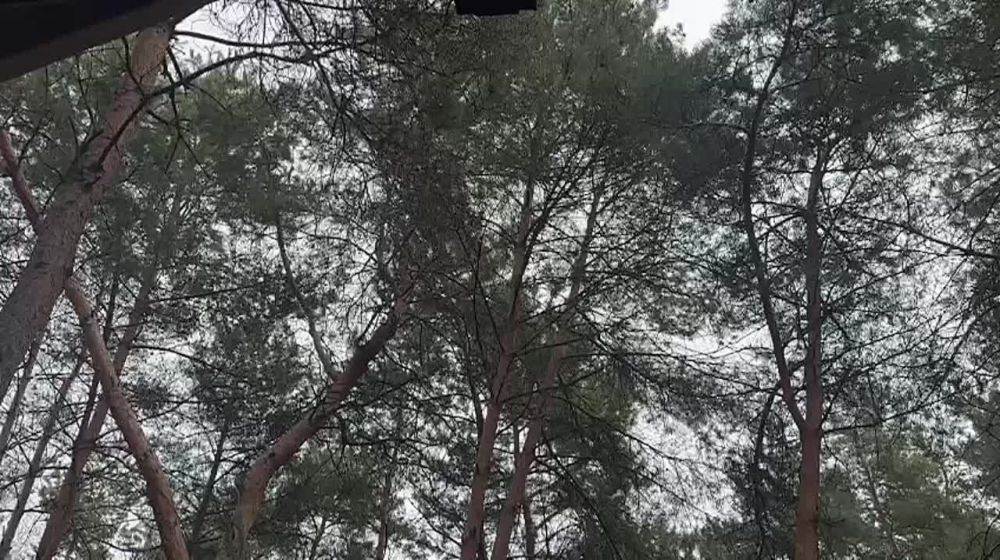 ��� �������� ������� � ������ ���������� � ���� ���������� ������������ ������� ��-�� ��������