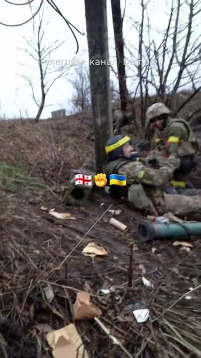 ������ �������: ���������� �������� ��� ��������� �� �� �� ����������� �����������