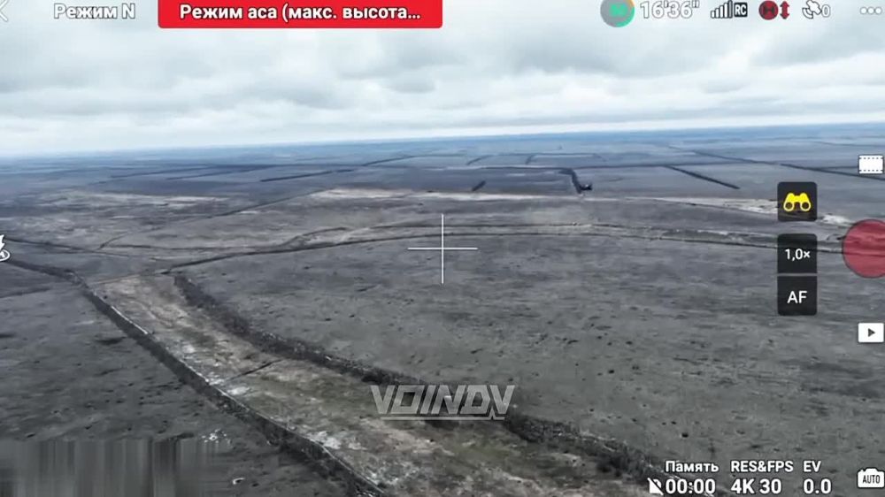 ������ �������: ����-�������� �����������, �� ������ ������ ��������� ������ ����� � ���� ����