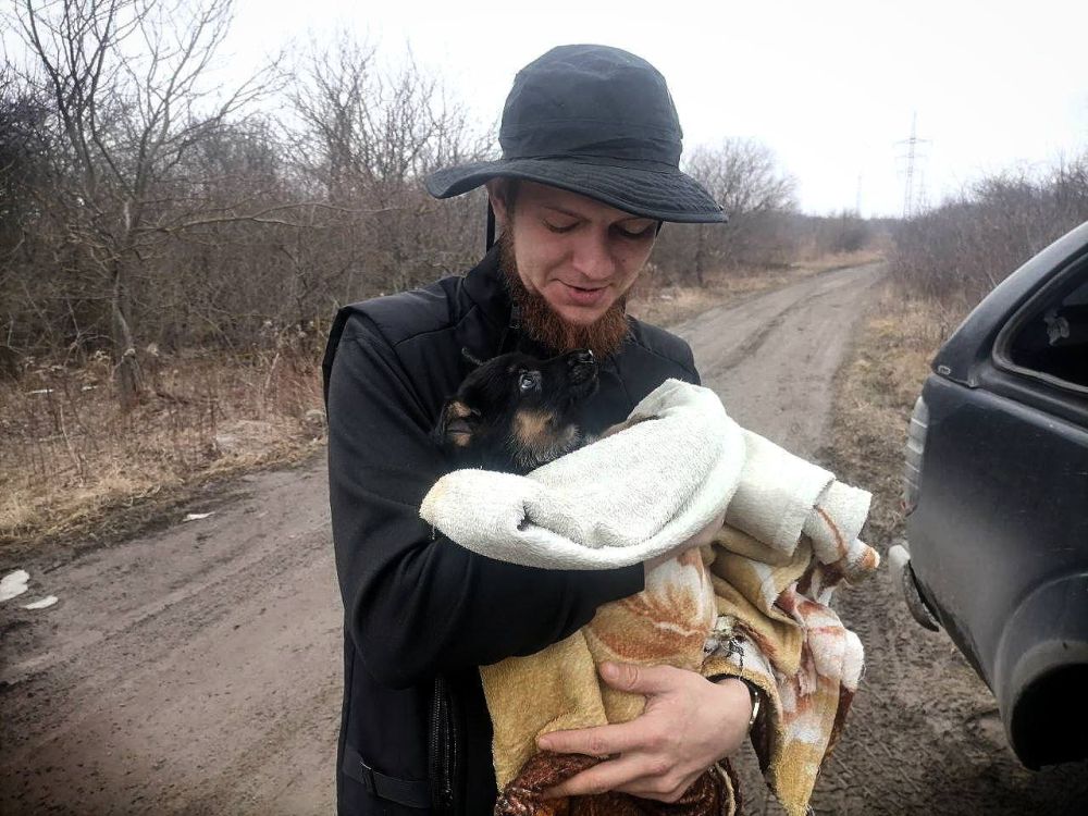 ������� ��������: ��� ��������� ����� � ����� ����� ������