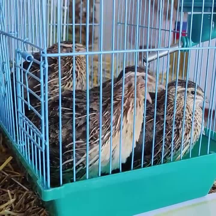 ������� �������: ������ � �������� ������������ ��������� ������������ � ������������� ������ ����� ���������� ���������� ��������� �������� � ������������� ������ ������� ���, ��� ������� ����� ��������� ������ ������������ ����������� � ���������