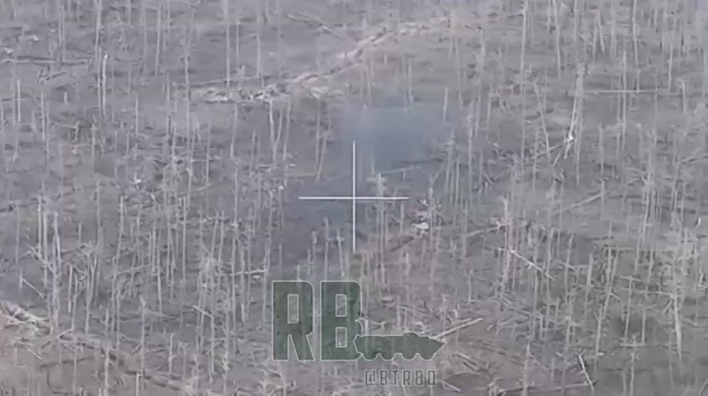 ����� �����: ����� � ����: ���������� "��������" ���������� ���� �� ��������� �����, �������� ��� ���������