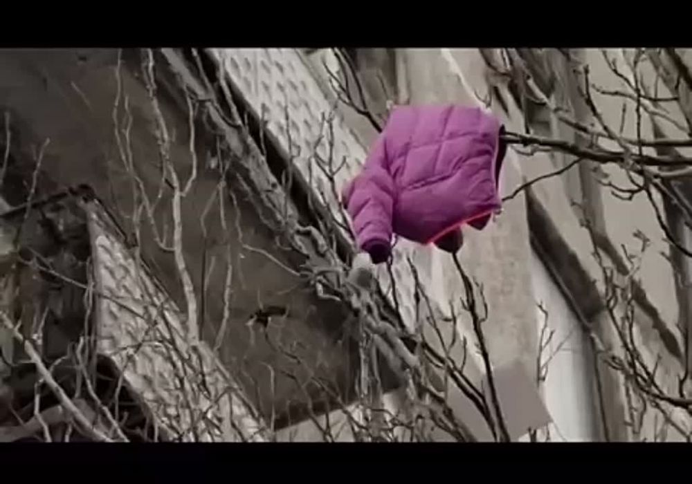 �������� ��������: ��������. ������������� � ������ �20 ���� � ���������, ���������� �� ���� ������ ��� ������...