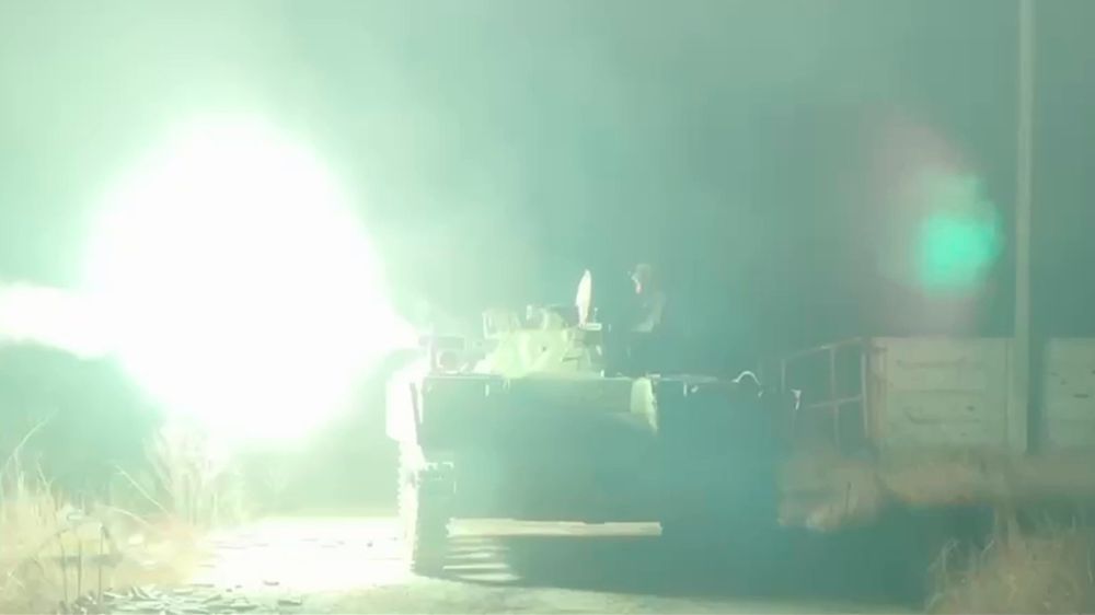 Бронегруппа ВДВ уничтожила боевиков в районе Раздоловки и Веселого почти в упор