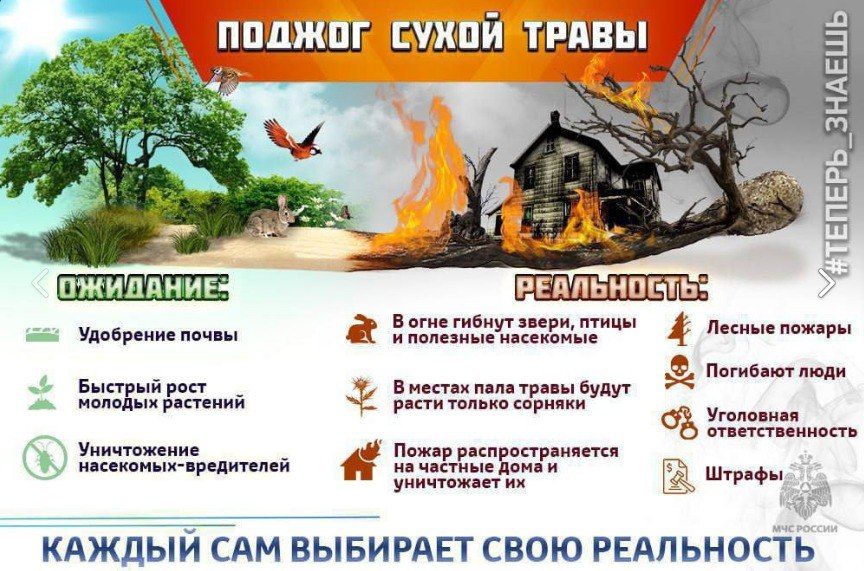 �������� ����� ���������� �������� � �������� �����������