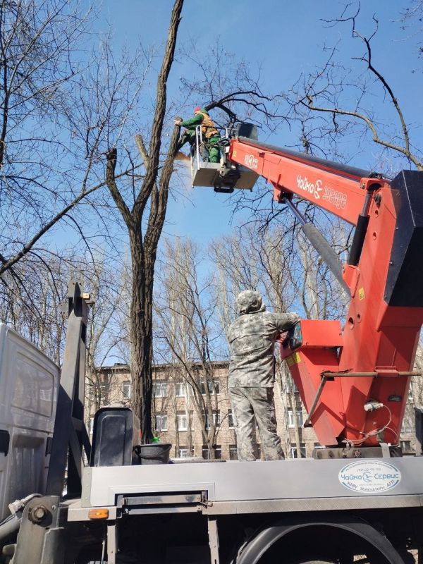 Василий Ткачук: Сегодня сотрудниками МУП АГД "ЗЕЛЕНСТРОЙ КАЛИНИНСКОГО РАЙОНА" выполнена санитарная обрезка деревьев и вывоз ветвей по проспекту Ильича