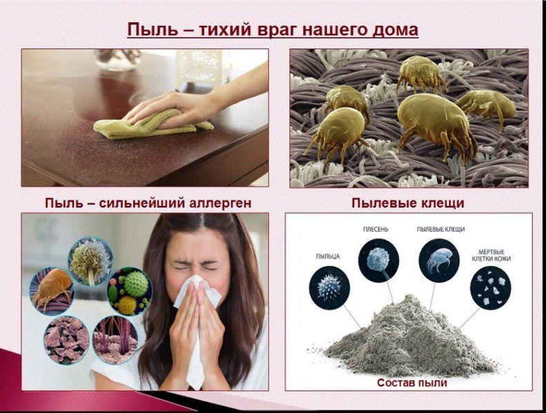�������� ���� - ����� ���� ������ ����