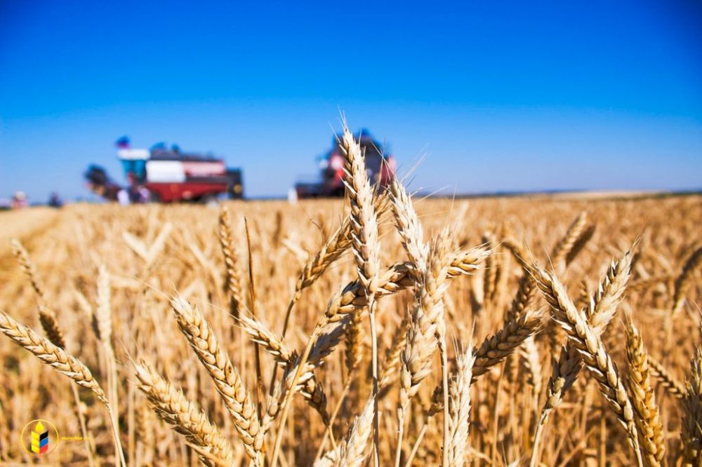 ����� ����������: ����� ��� �������� ��� �� ������������ ������� ����� � 2024 ���� ��������� �����